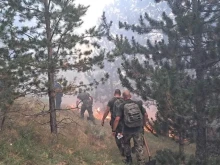 Министър Стоянов за пожара на българо-гръцката граница: Няма да допуснем човешки крак да стъпи в минното поле