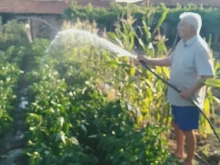 Тръгват проверки за поливането с питейна вода в Кюстендил