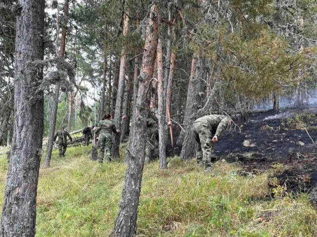 Спокойна към момента е обстановката с пожара на българо-гръцката граница.