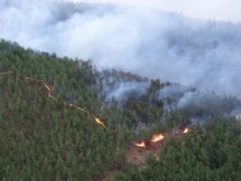 Пожарът в Гърция отново в опасна близост до България