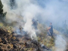 Пожарникари, военни и горски продължават да следят пожара на българо-гръцката граница