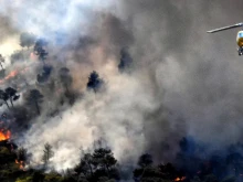 Борбата с огъня на българо-гръцката граница продължава вече 10 дни, горят над 75 декара гора