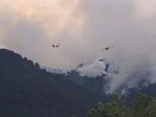 ������� �������� ���� ����� ������ ����� �������� � ������