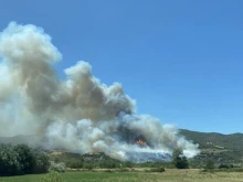 Голям пожар пламна между селата Микрево и Каменица