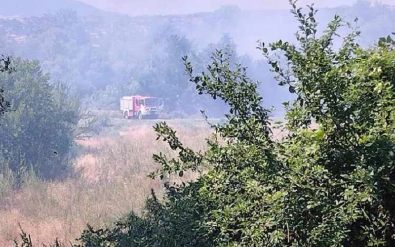 Овладян е пожарът между Бараково и Кочериново