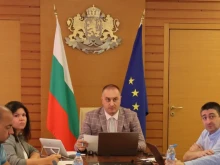 Започват превантивни действия заради чумата по дребни преживни животни