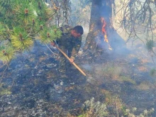 Пожарът в планината Славянка продължава да слиза към ниската част, властите разкриха има ли опасност за близките села