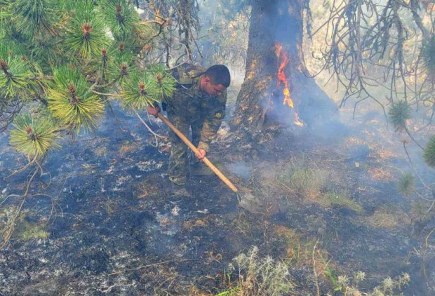 Пожарът продължава да слиза към ниската част Опасност за населението