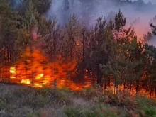 В македонската община Пехчево ехтят камбани, кметът призова местното население за помощ за потушаване на пожара