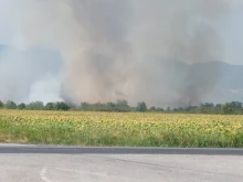 Локализиран е пожарът край село Дълбоки