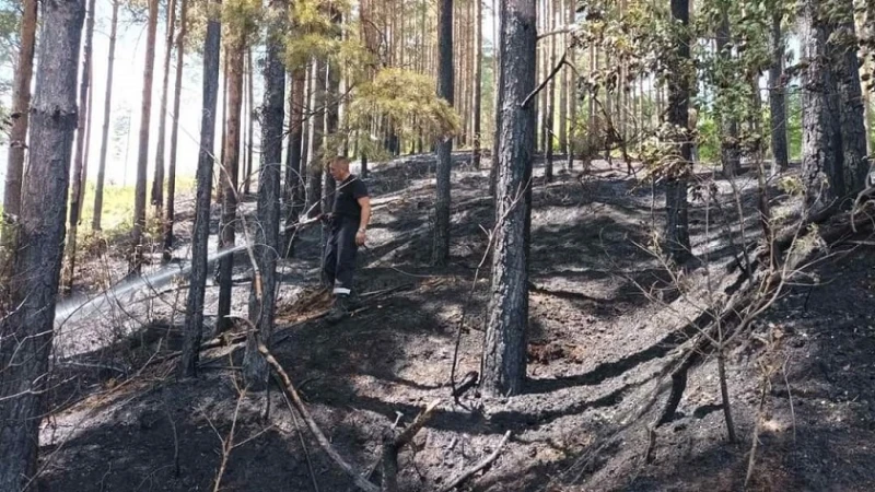 Шест дка сухи треви изгоряха край Златоград, спасени са 50 дка гора