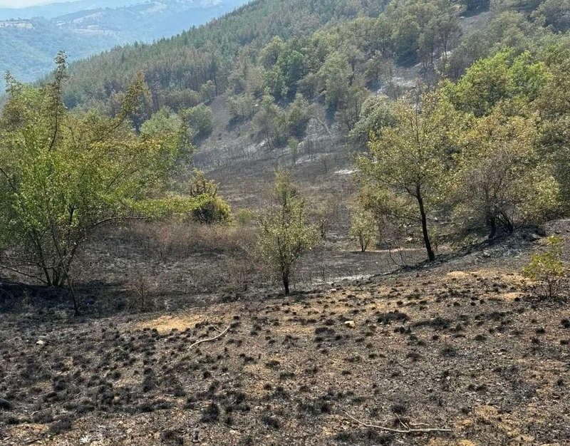 Спешно търсят доброволци заради огнения ад край Струмяни