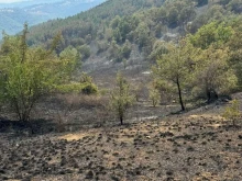 Спешно търсят доброволци заради огнения ад край Струмяни