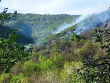 Пожар гори в Невестинско, обхванал е и гора