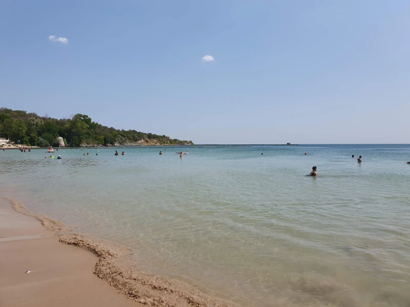 Знаете ли кое е най-голямото животно в Черно море?
