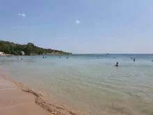 Знаете ли кое е най-голямото животно в Черно море?