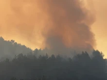 400 дка е обхванал пожарът в района на село Църварица