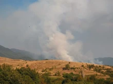 Локализиран е пожарът над Сенокос