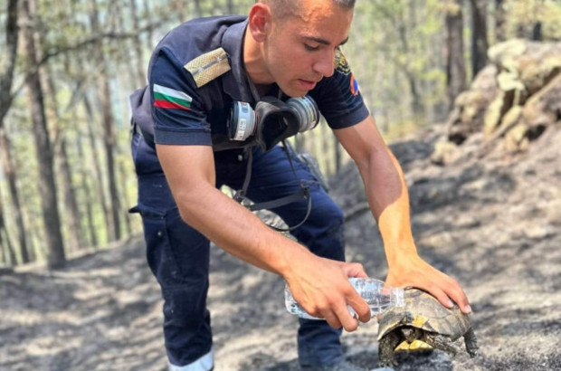 Кирил Божков част от РСПБЗН Сандански дава вода на