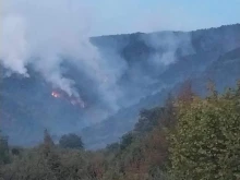 Самолети, хеликоптери и жива сила в борба с пожара на българо-гръцката граница