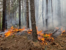 Пожарът на българо-гръцката е локализиран от запад