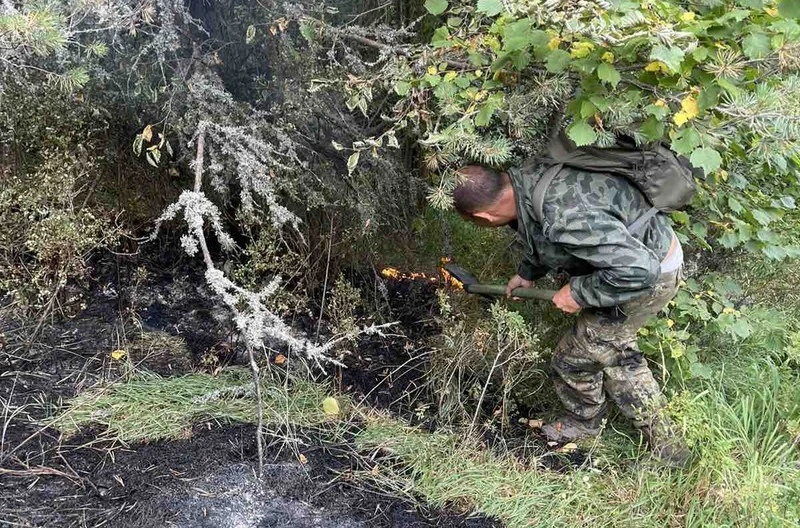 39 военнослужещи участват в гасенето на пожара на българо-гръцката граница