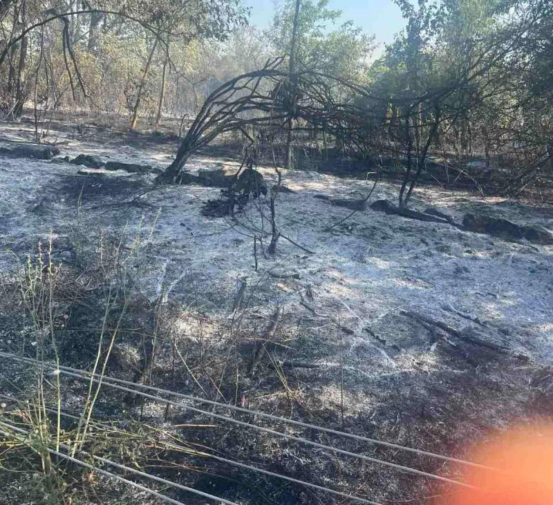 Няколко пожара горят в Разградско, най-страшно е в Побит камък