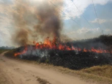 Погасен е пожара в село Арчар, Видинско