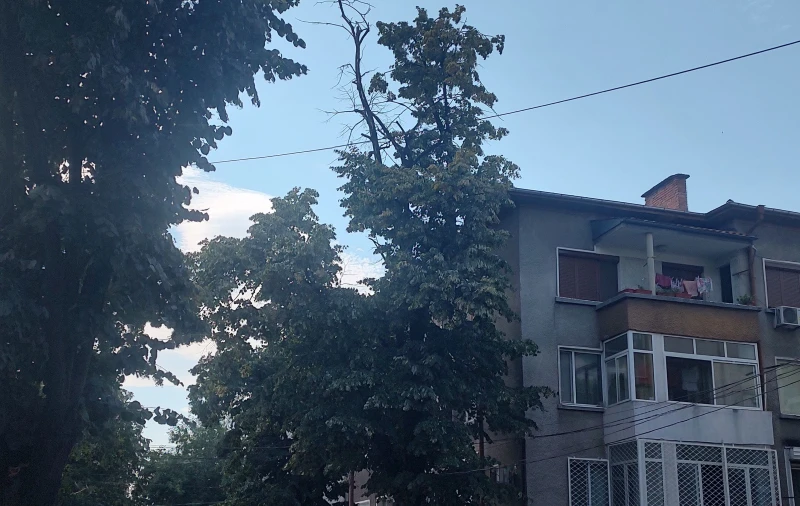Сигнал: Безхаберието е "гушнало" всички и всичко в община Пловдив