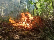 Вятърът разпали огнища на пожара край Църварица