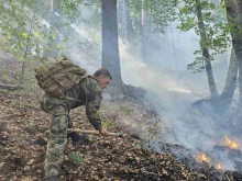 За пореден ден военнослужещи се борят с пожара в Славянка