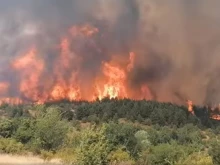 Опасно близо до България: Кметът на Пехчево призова гражданите да се включат в борбата с огнената стихия