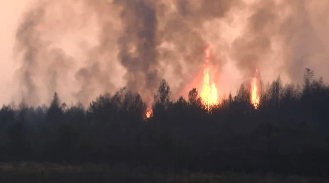 Пожарът на българската граница с РСМ при Пехчево се разгоря наново, Скопие прати два хеликоптера да го гасят