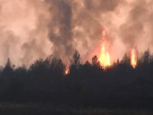 Пожарът на българската граница с РСМ при Пехчево се разгоря наново, Скопие прати два хеликоптера да го гасят