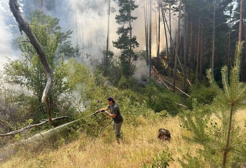 Работи се по локализиране на пожара край Неделкова Гращица