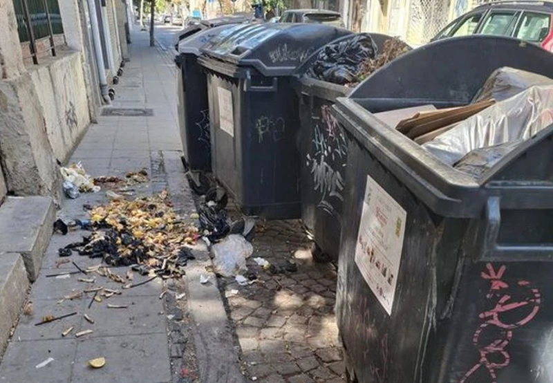На метри от Главната: Даже котките се обръщат с погнуса на другата страна