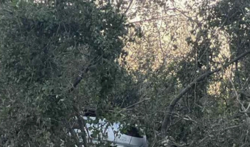 ���� ������ �� ������� ������ � �� ����� ����� �����