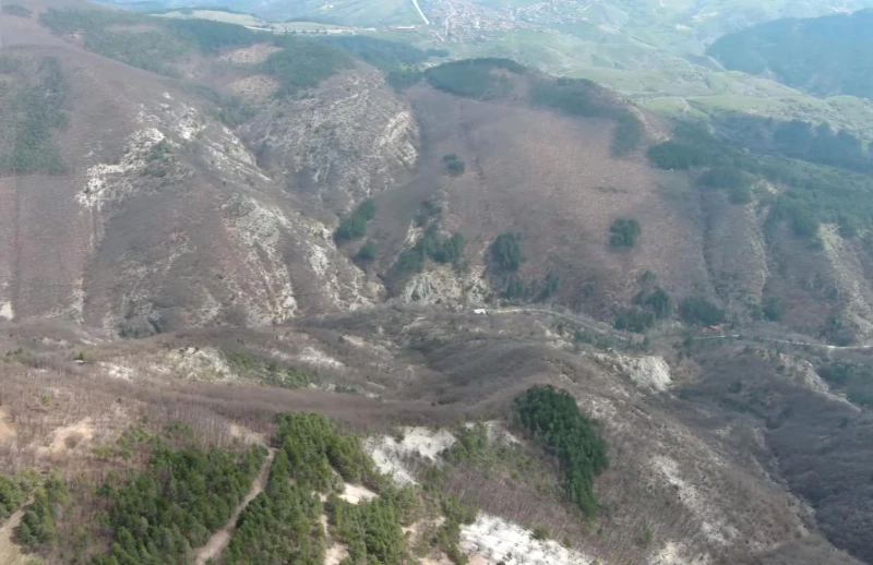 В едно от най-красивите и живописни места в България се намира Царството на муфлоните