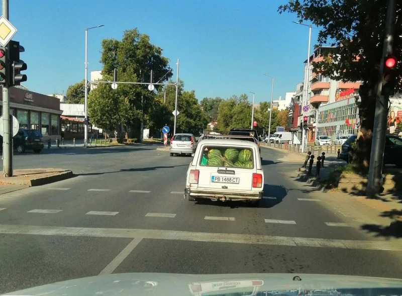 Колко дини има в тази кола?