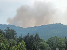 Нов пожар в Родопите
