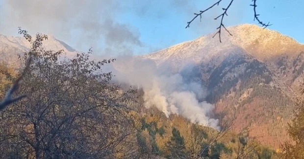 Доугасяват пожар в алпийската част на Осоговска планина