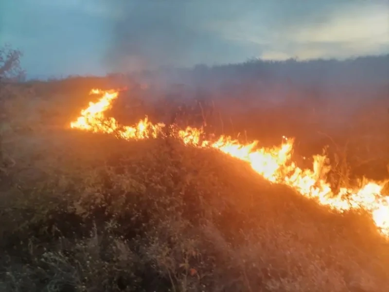 Продължава борбата с пожара край монтанското село Габровница