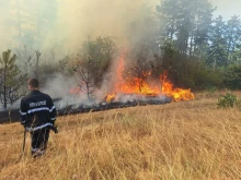 Подробности за пожара, който бушува край с. Баховица