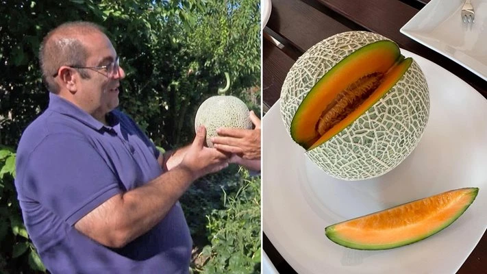 Пъпешът от Пловдивско, продаден за 10 000 лева, се оказа не много вкусен