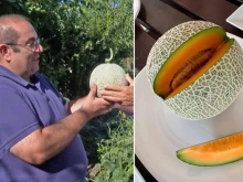 Пъпешът от Пловдивско, продаден за 10 000 лева, се оказа не много вкусен