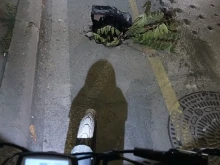 ��������: ������ ����� ����� �� ���������� �� ��. "����������"