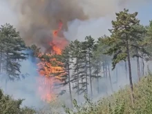 Ръчно гасят пожара в Рила