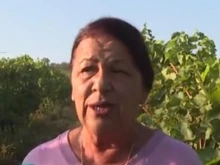 Производител: Крафт бирата подкопава пазара на виното