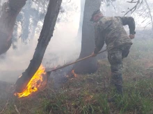 Военни се включиха в гасенето на пожара в Рила