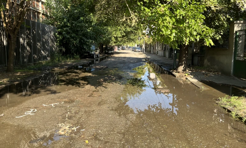 Пловдивчанка: Скоро водата ще е по-скъпа от златото